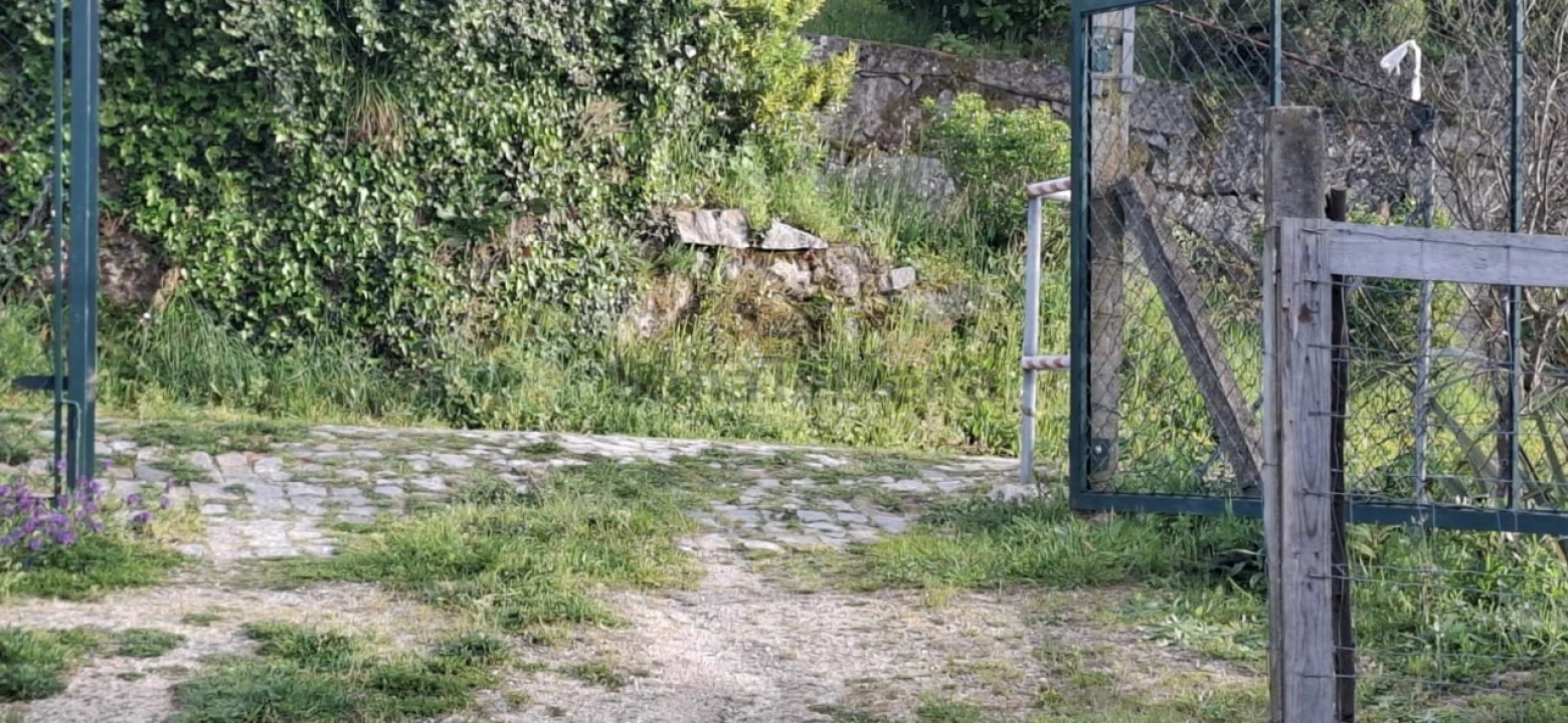 Terreno para Venda em Várzea, Aliviada e Folhada Foto 6