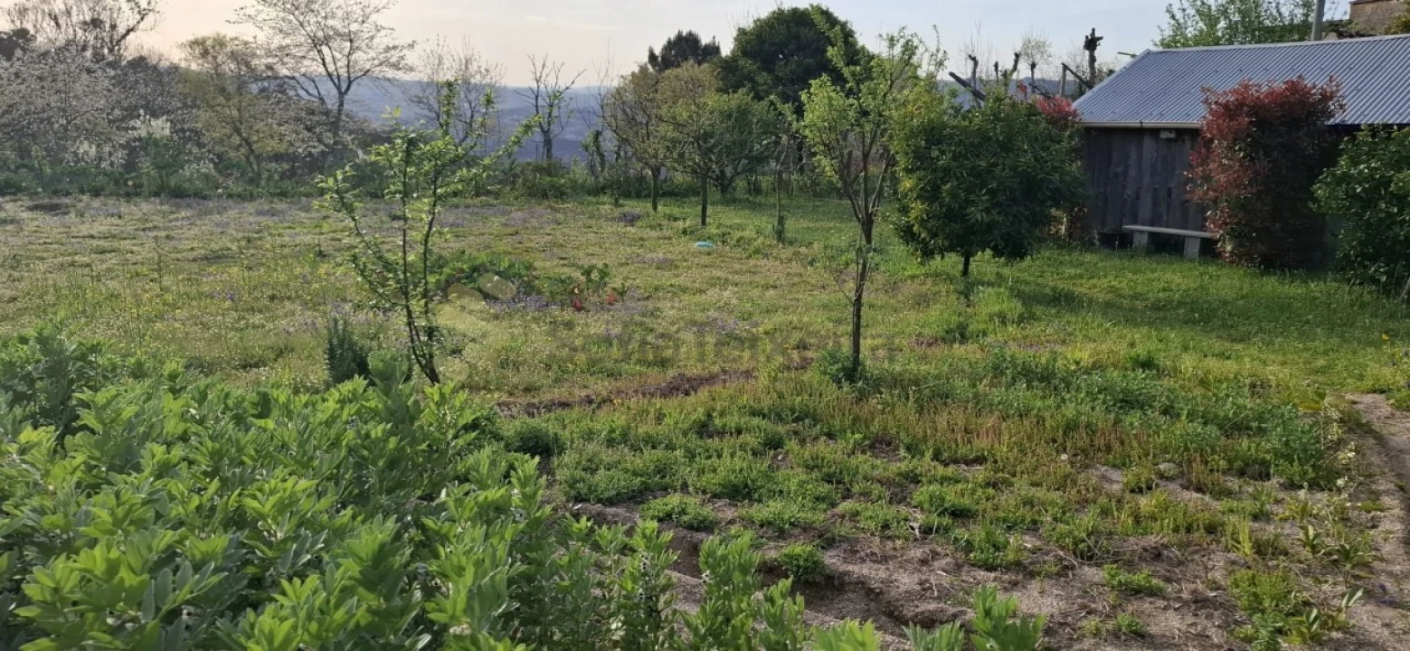 Terreno para Venda em Várzea, Aliviada e Folhada Foto 9