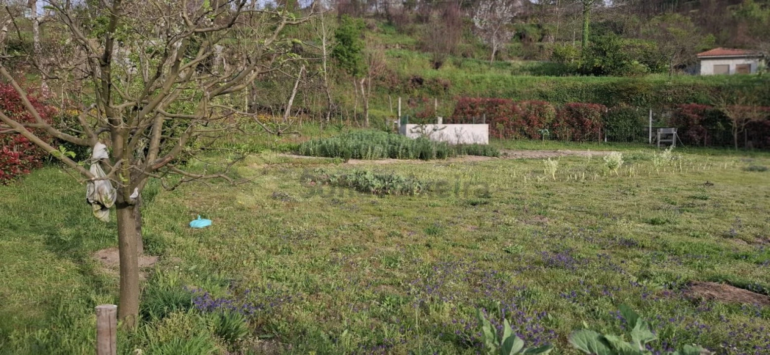 Terreno para Venda em Várzea, Aliviada e Folhada Foto 15