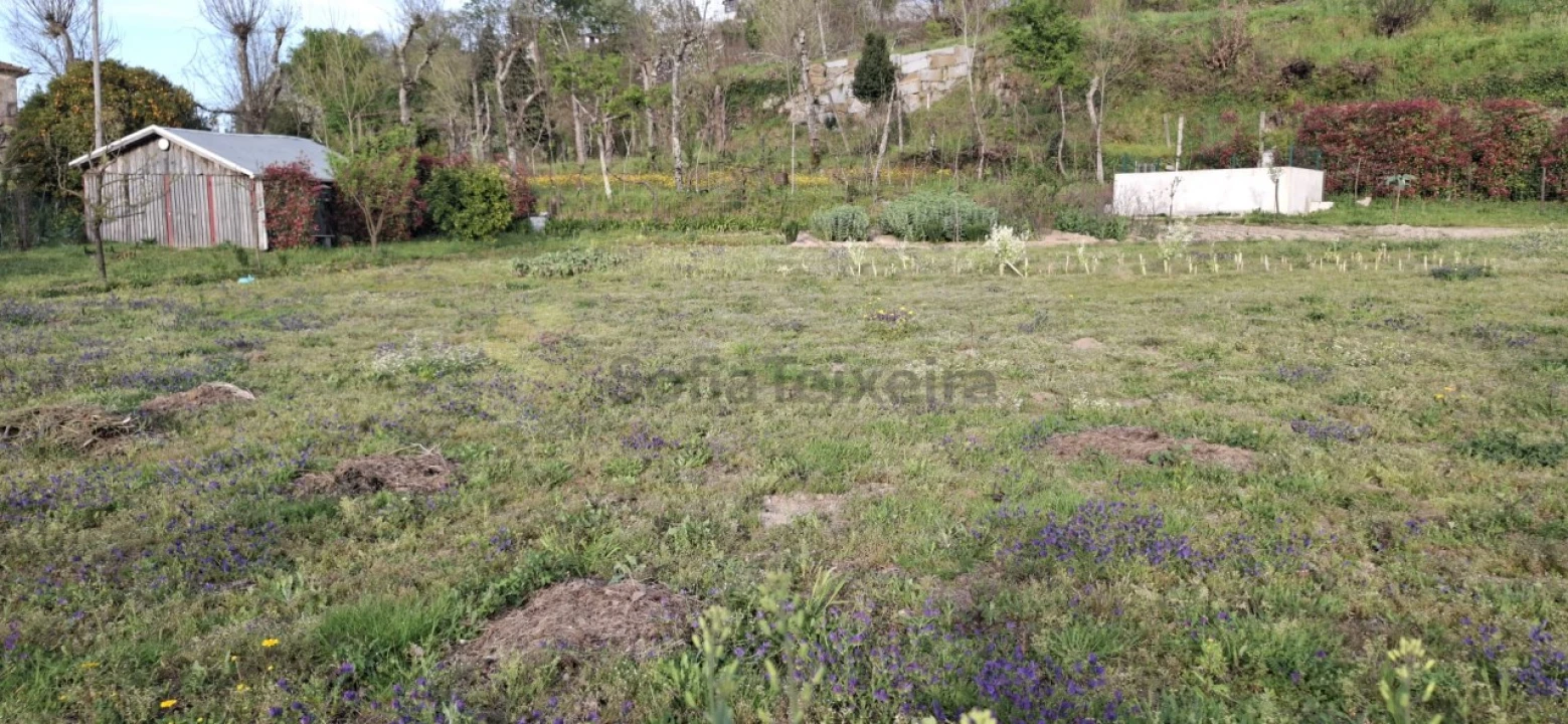Terreno para Venda em Várzea, Aliviada e Folhada Foto 13