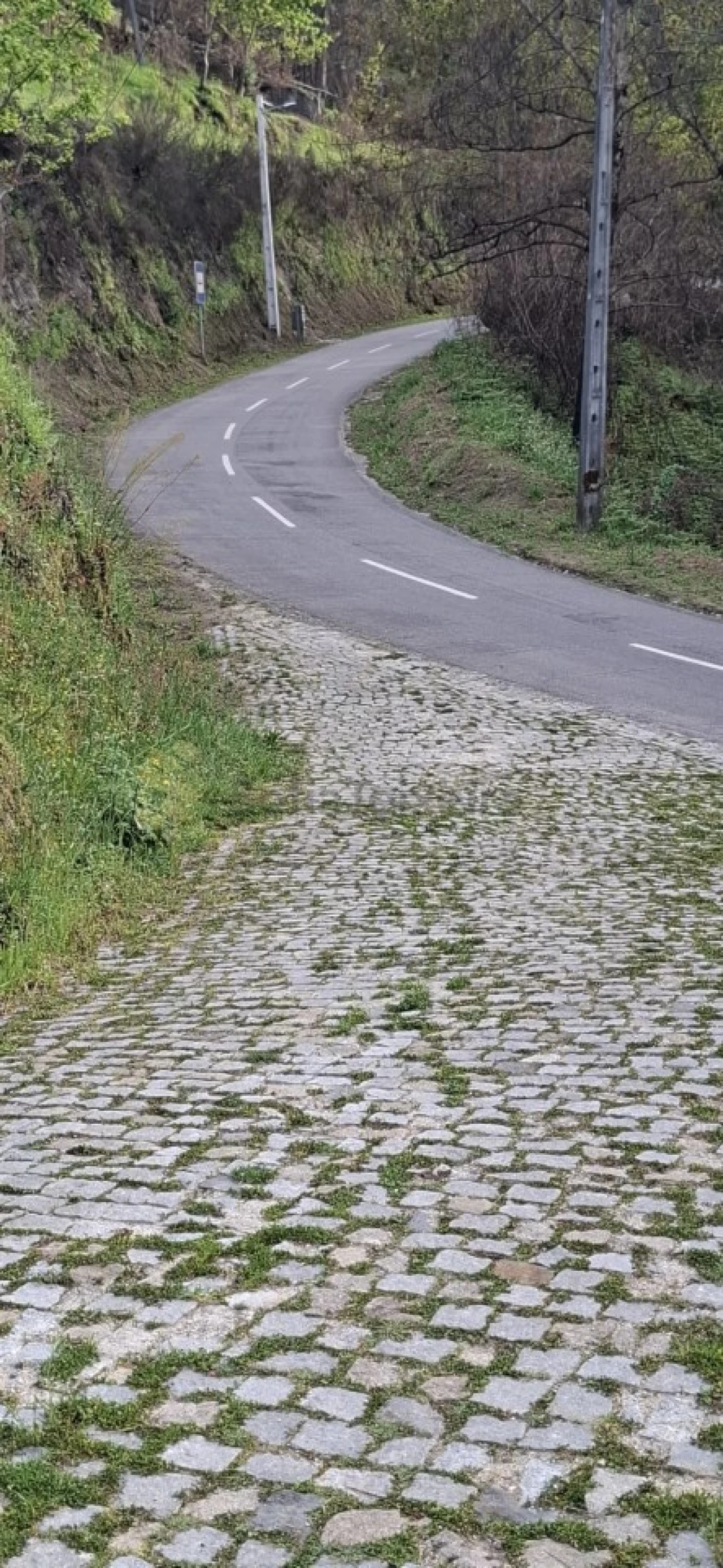Terreno para Venda em Várzea, Aliviada e Folhada Foto 16