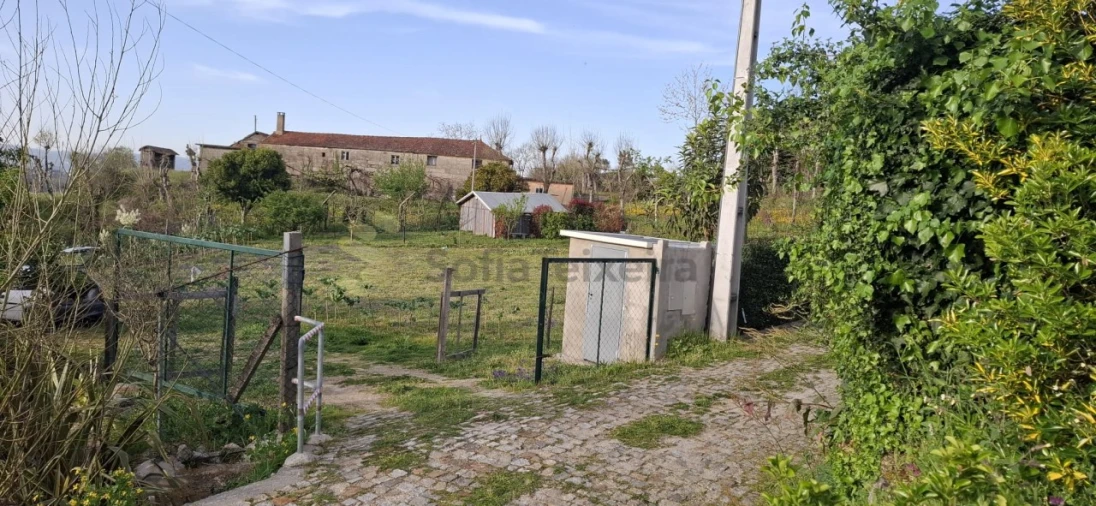 Terreno para Venda em Várzea, Aliviada e Folhada Foto 2