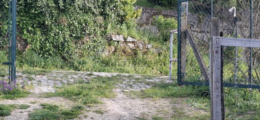 Terreno para Venda em Várzea, Aliviada e Folhada Foto 6
