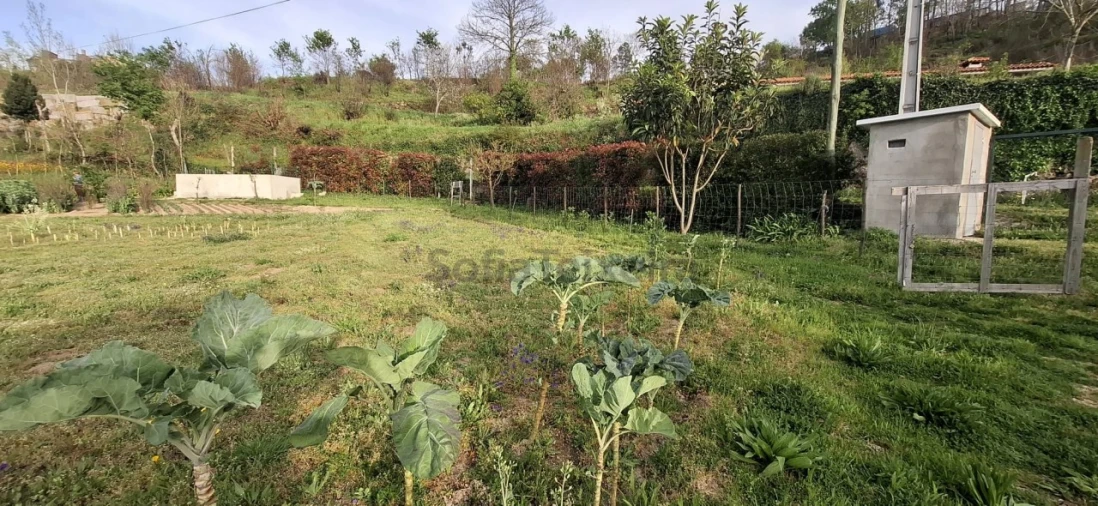 Terreno para Venda em Várzea, Aliviada e Folhada Foto 4