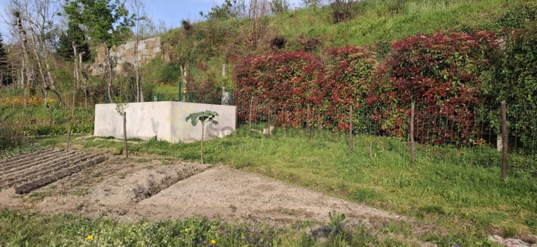 Terreno para Venda em Várzea, Aliviada e Folhada Foto 7