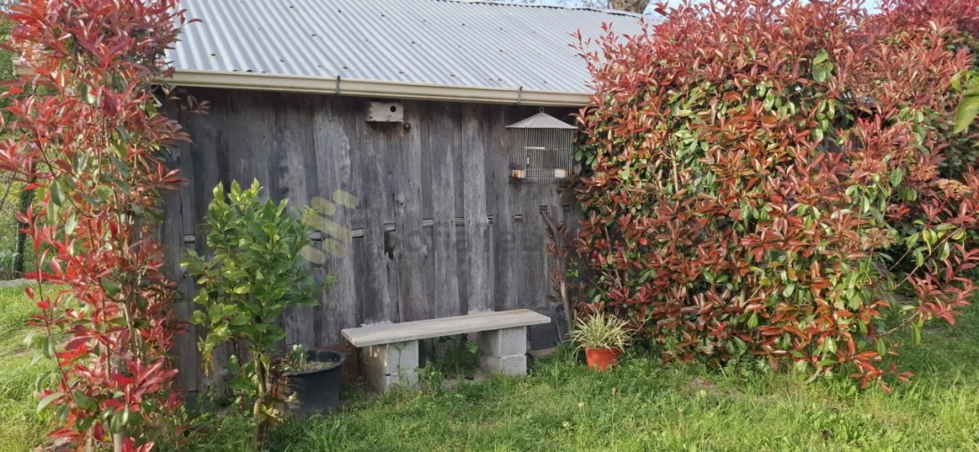 Terreno para Venda em Várzea, Aliviada e Folhada Foto 11