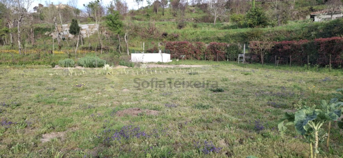 Terreno para Venda em Várzea, Aliviada e Folhada Foto 14
