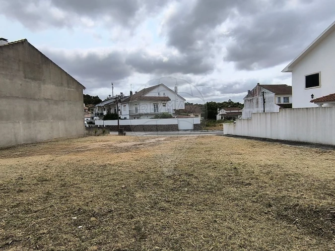Terreno para Venda em Rio Maior Foto 8