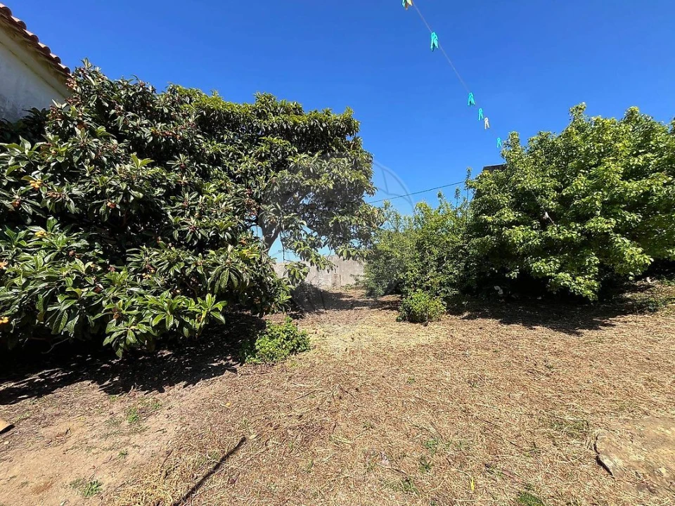 Moradia T2 para Venda em Olho Marinho Foto 3