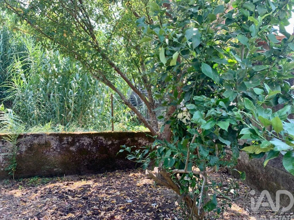 Moradia T2 para Venda em Seixas Foto 21