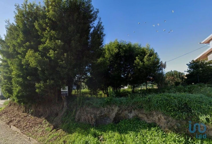 Terreno para Venda em Pedroso e Seixezelo Foto 3