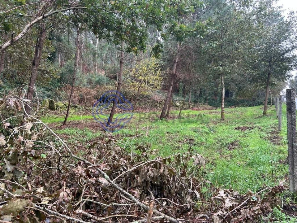 Terreno para Venda em Ganfei Foto 12