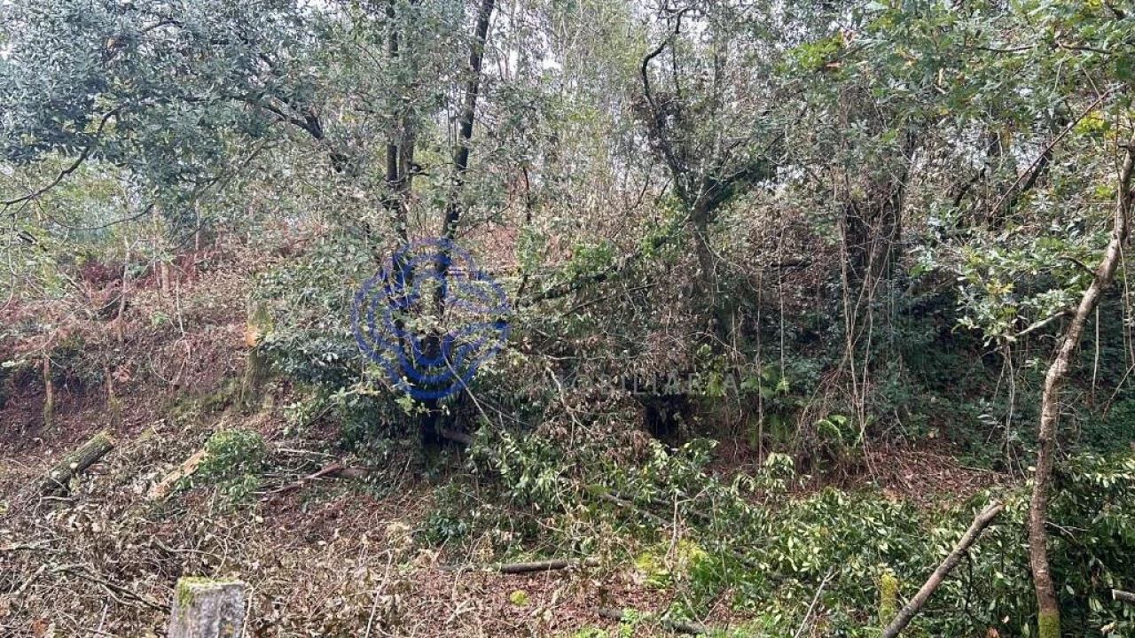 Terreno para Venda em Ganfei Foto 10