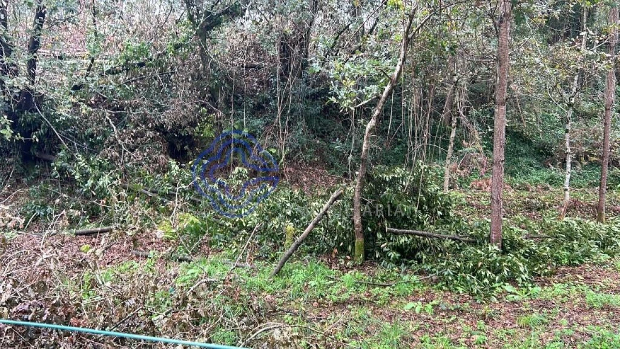 Terreno para Venda em Ganfei Foto 9