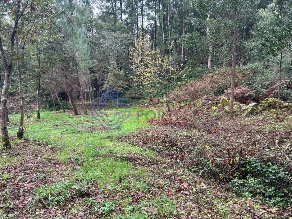 Terreno para Venda em Ganfei Foto 3