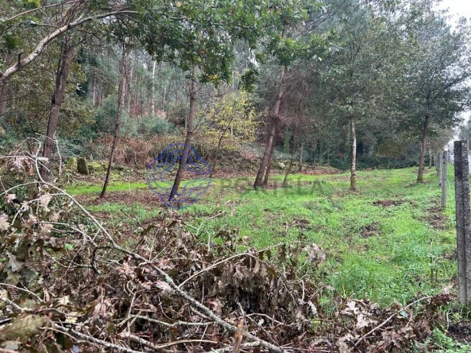 Terreno para Venda em Ganfei Foto 12