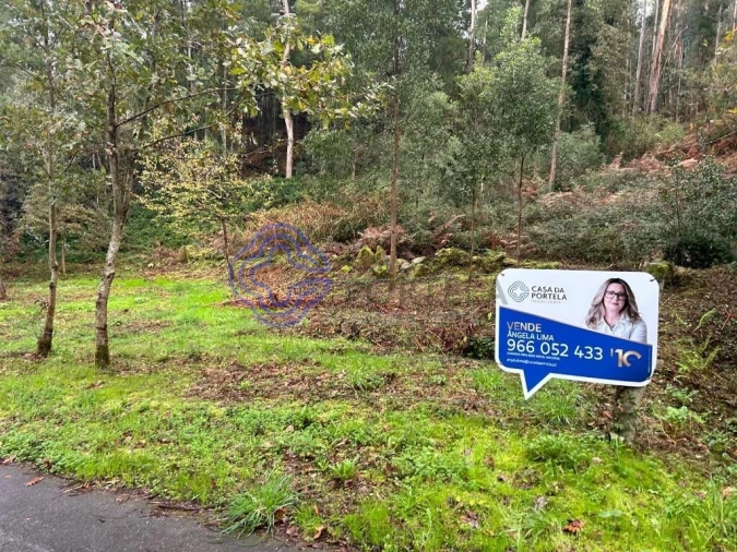 Terreno para Venda em Ganfei Foto 15