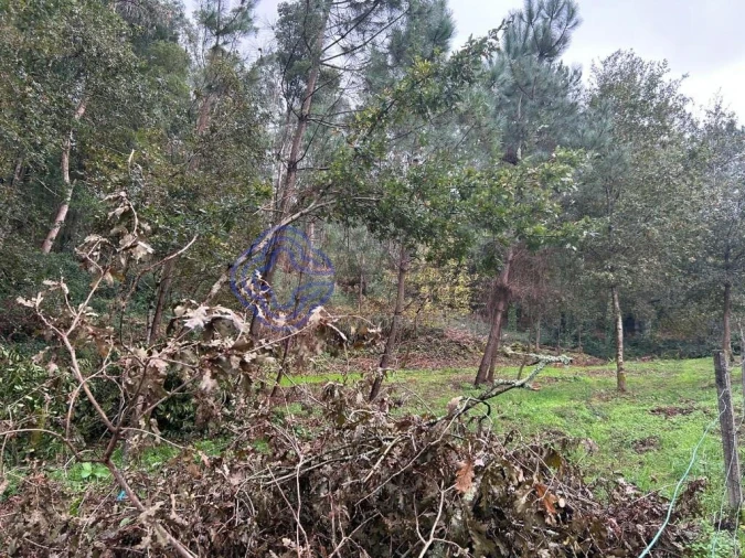 Terreno para Venda em Ganfei Foto 11