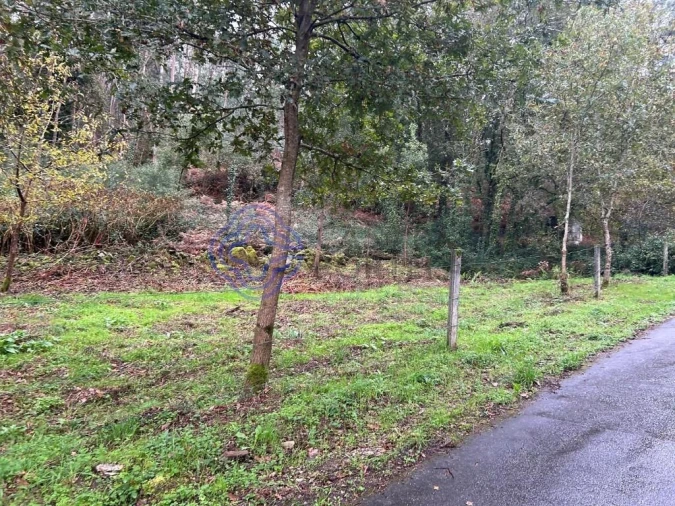 Terreno para Venda em Ganfei Foto 7