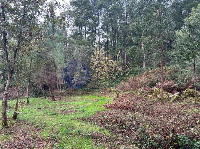 Terreno para Venda em Ganfei Foto 4