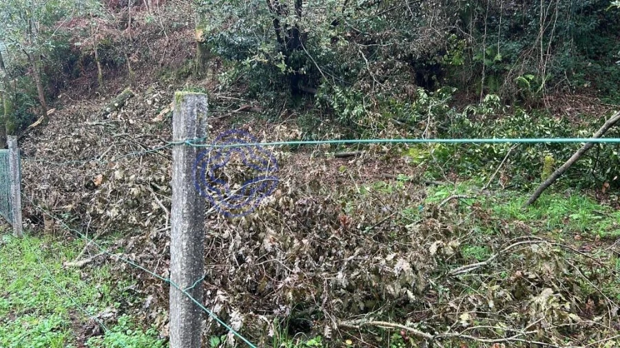 Terreno para Venda em Ganfei Foto 8