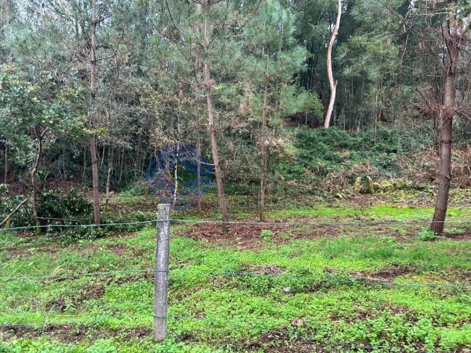 Terreno para Venda em Ganfei Foto 5