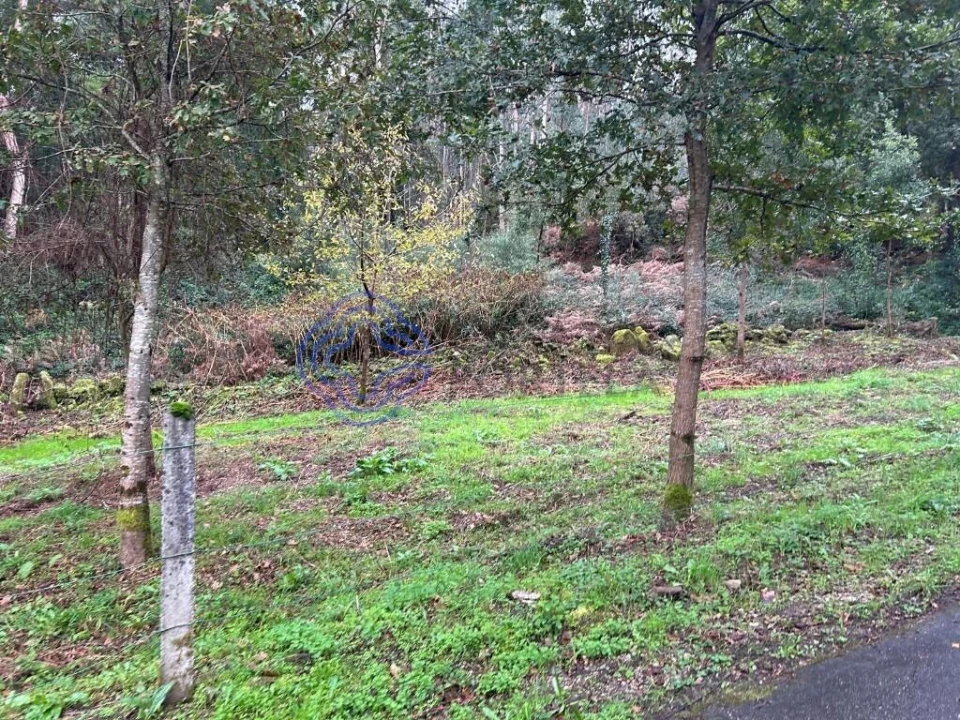 Terreno para Venda em Ganfei Foto 6