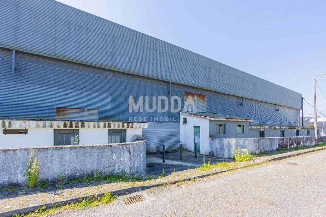Armazém para Venda em Cortegaça Foto 42