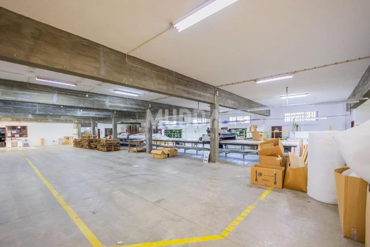 Armazém para Venda em Cortegaça Foto 14