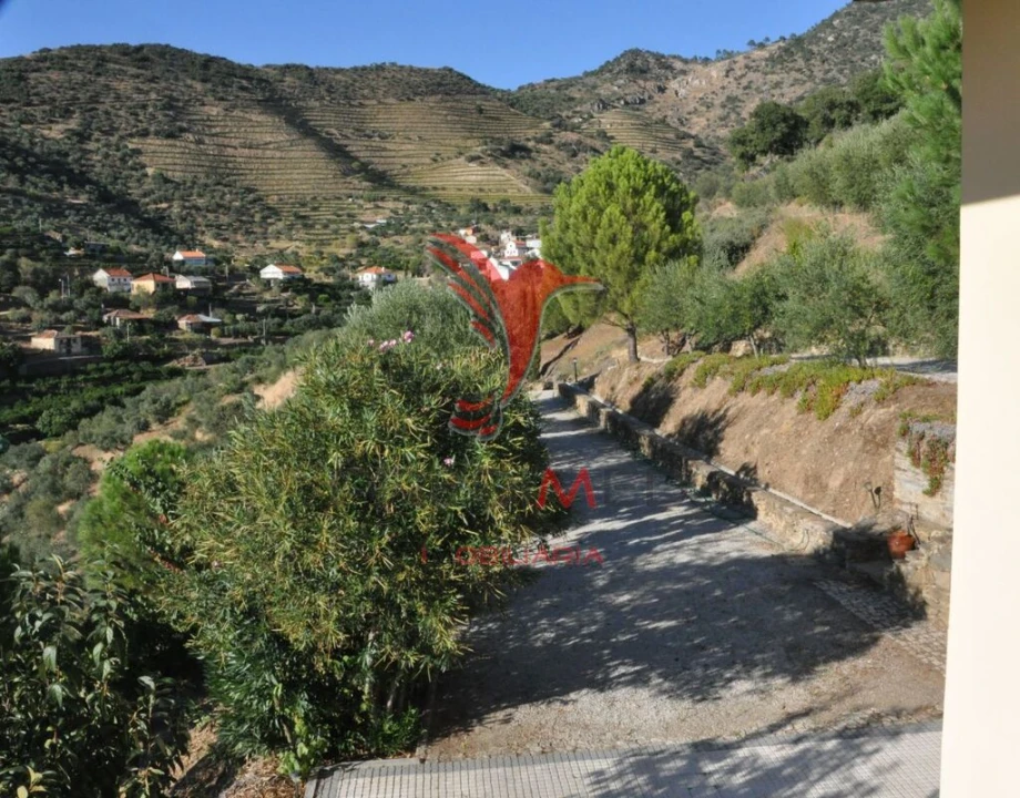 Quinta T3 para Venda em Seixo de Ansiães Foto 18