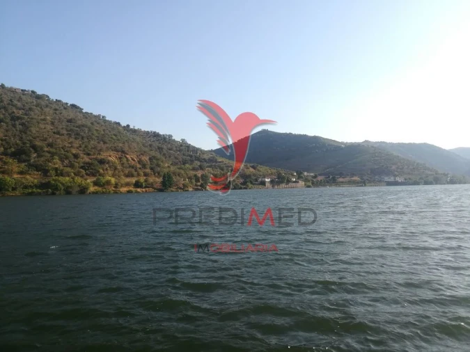 Quinta T3 para Venda em Seixo de Ansiães Foto 19