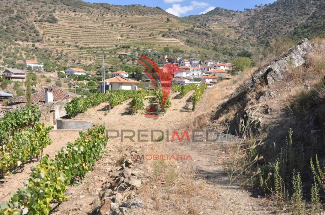 Quinta T3 para Venda em Seixo de Ansiães Foto 17