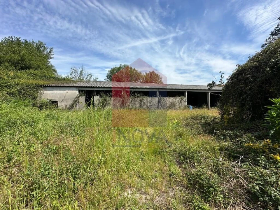 Quinta T5 para Venda em Povoa de Lanhoso (N. Senhora do Amparo) Foto 29