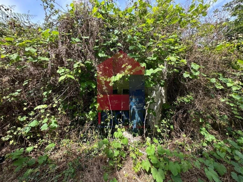 Quinta T5 para Venda em Povoa de Lanhoso (N. Senhora do Amparo) Foto 42