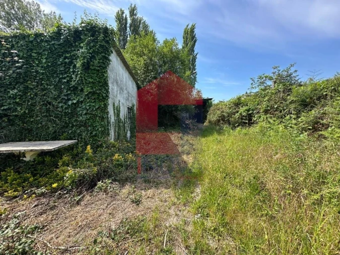 Quinta T5 para Venda em Povoa de Lanhoso (N. Senhora do Amparo) Foto 28