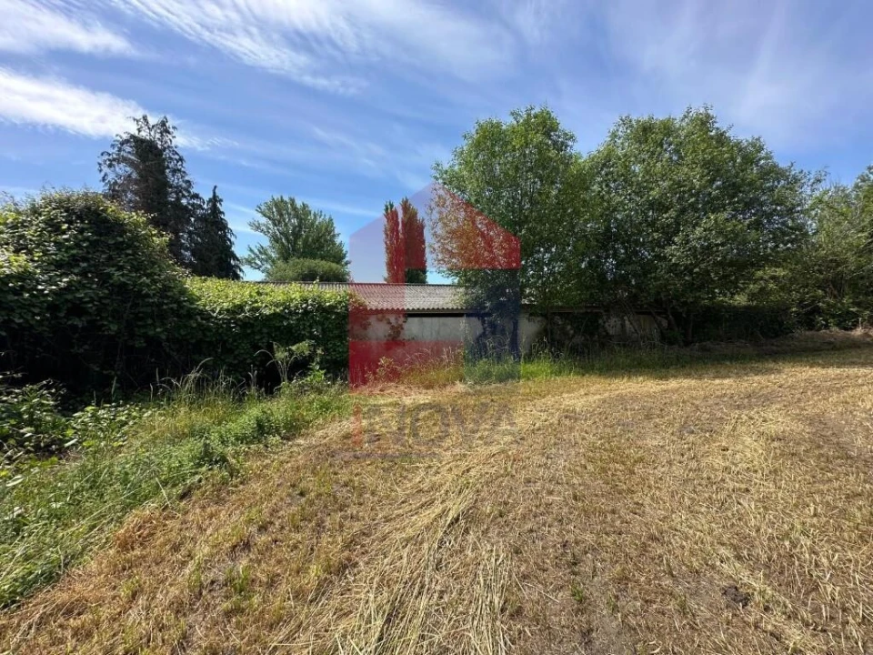 Quinta T5 para Venda em Povoa de Lanhoso (N. Senhora do Amparo) Foto 27