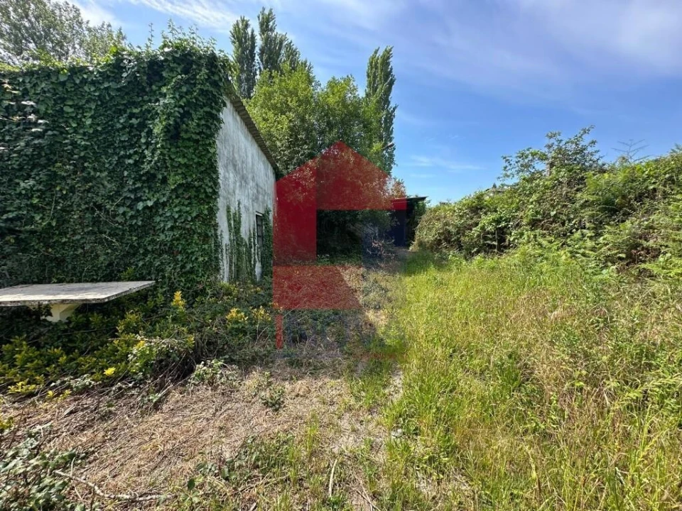 Quinta T5 para Venda em Povoa de Lanhoso (N. Senhora do Amparo) Foto 28