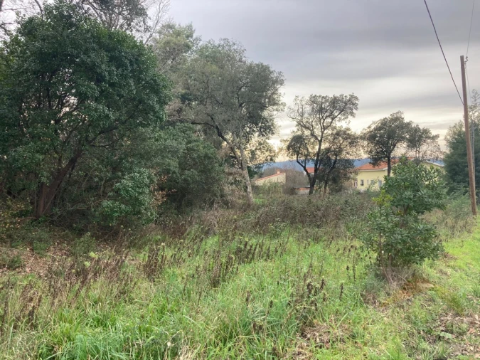 Terreno para Venda em Lousã e Vilarinho Foto 7