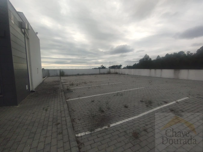 Loja para Venda em Eiras e São Paulo de Frades Foto 17