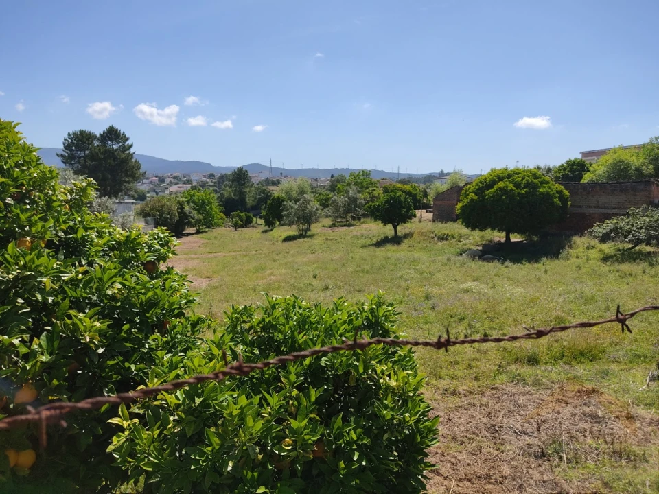 Terreno para Venda em Pampilhosa Foto 2