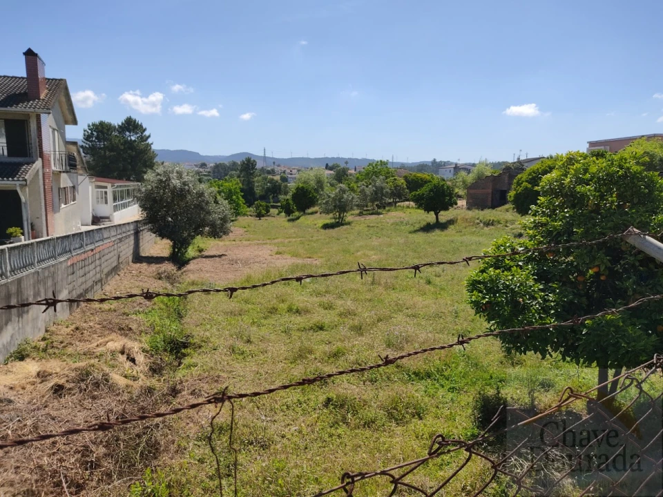 Terreno para Venda em Pampilhosa Foto 3