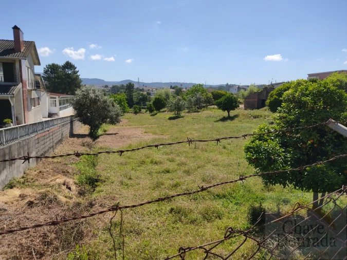 Terreno para Venda em Pampilhosa Foto 3