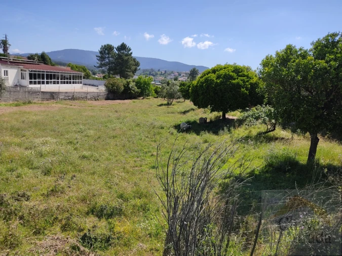 Terreno para Venda em Pampilhosa Foto 4