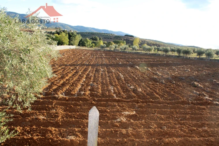 Moradia T3 para Venda em Grijo Foto 17