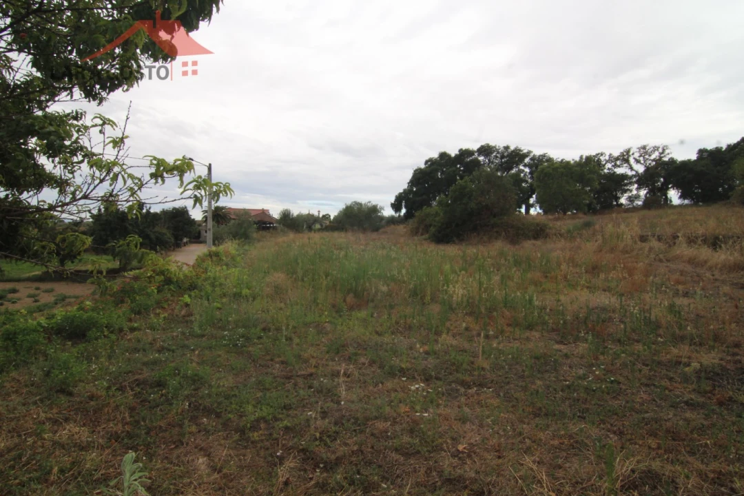 Moradia T5 para Venda em Ala e Vilarinho do Monte Foto 10