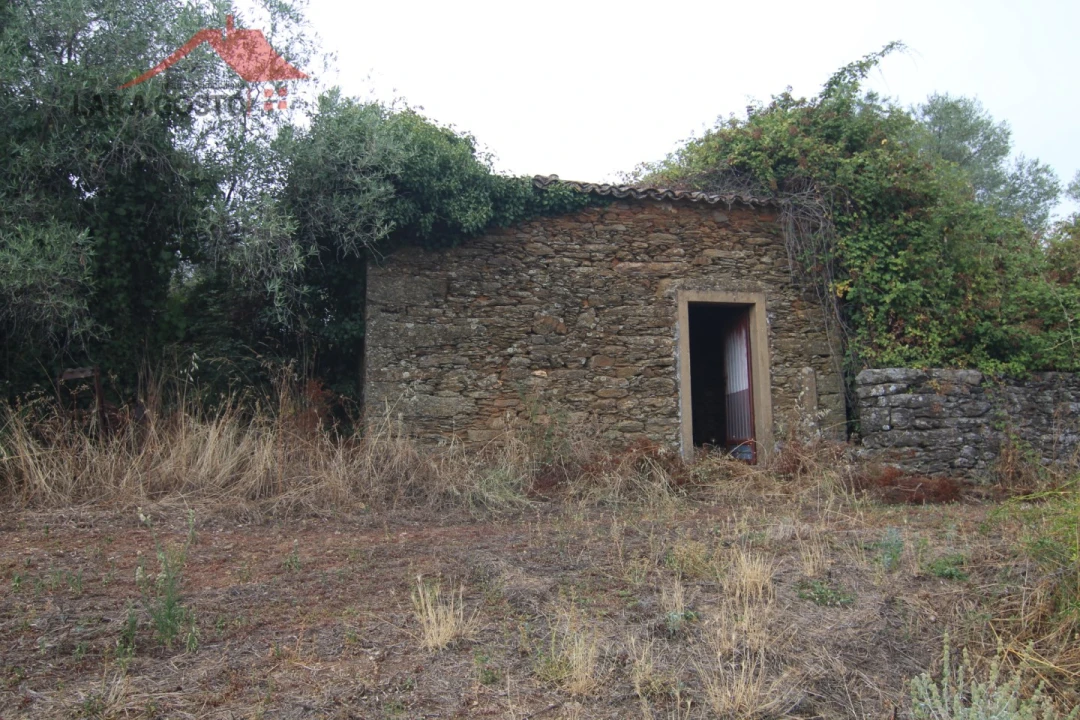 Moradia T5 para Venda em Ala e Vilarinho do Monte Foto 11