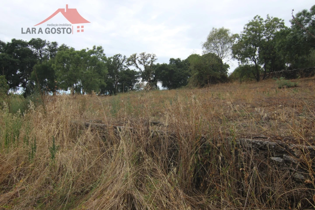 Moradia T5 para Venda em Ala e Vilarinho do Monte Foto 16