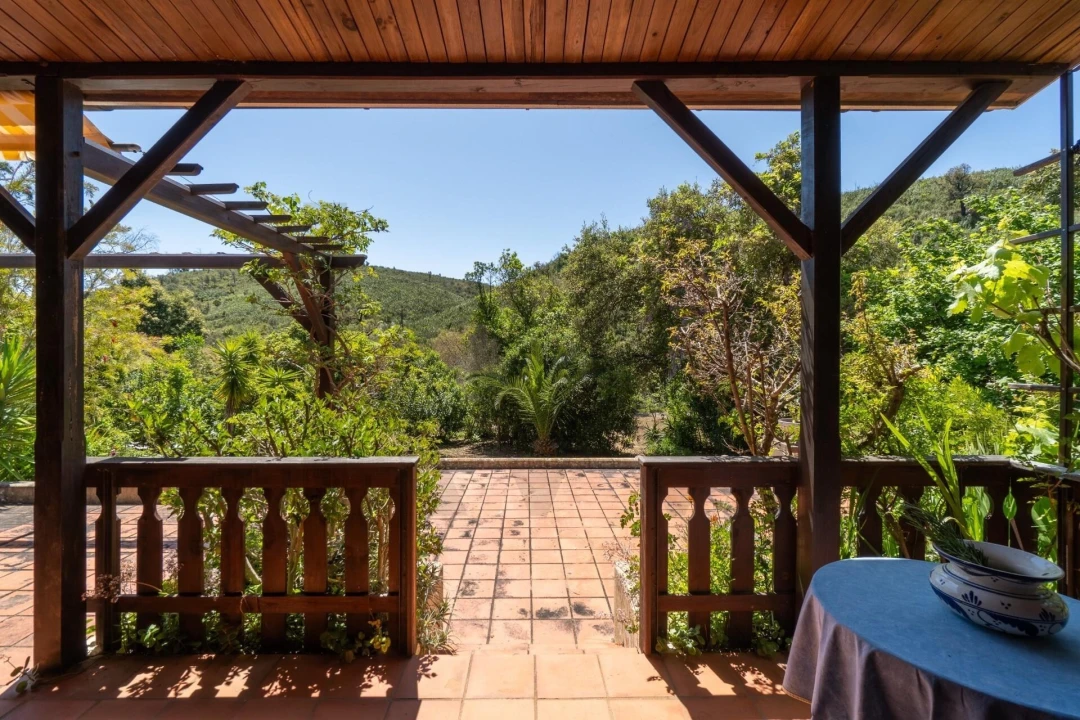 Quinta T2 para Venda em Mexilhoeira Grande Foto 47