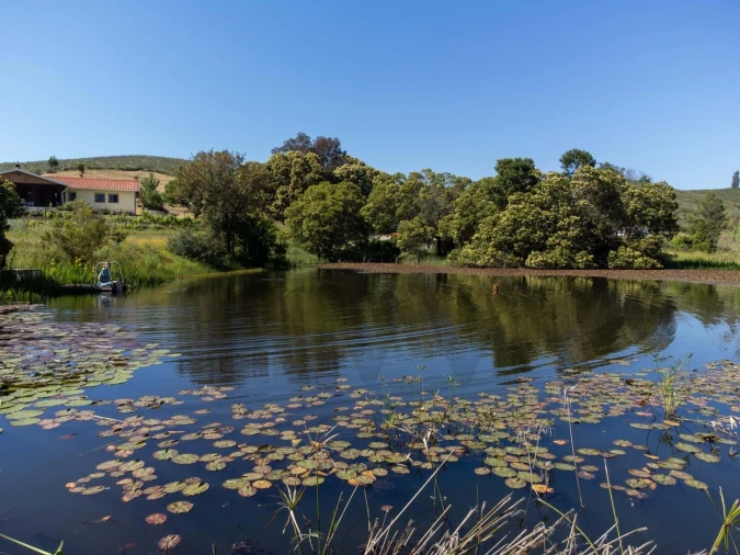 Quinta T2 para Venda em Mexilhoeira Grande Foto 6