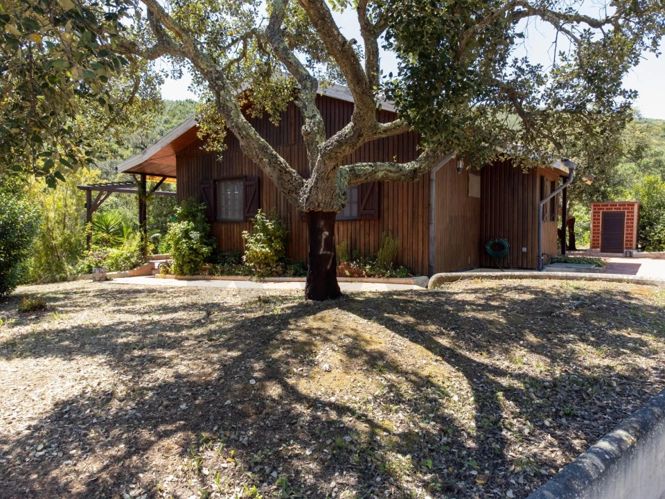 Quinta T2 para Venda em Mexilhoeira Grande Foto 7